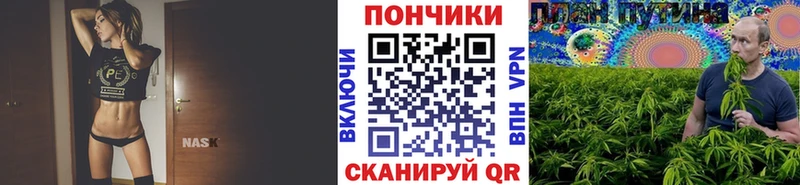 Как найти наркотики Берёзовский АМФ  Alpha-PVP  МЕФ  Псилоцибиновые грибы  Каннабис 