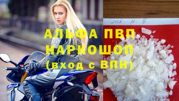 мяу мяу мука Гатчина