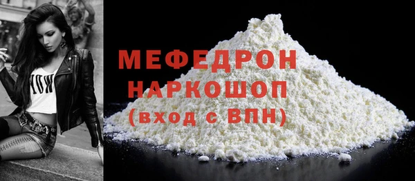 индика Ельня