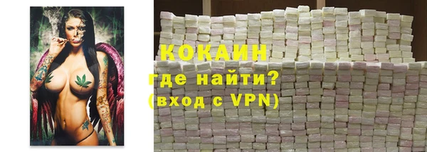 шишки Семёнов